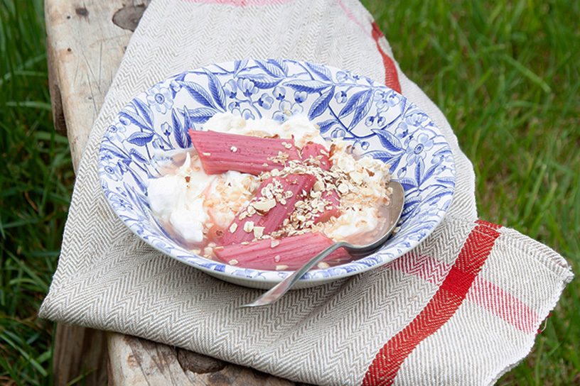 Zelfgemaakte hangop met rabarber in een schaaltje op een tafeltje.
